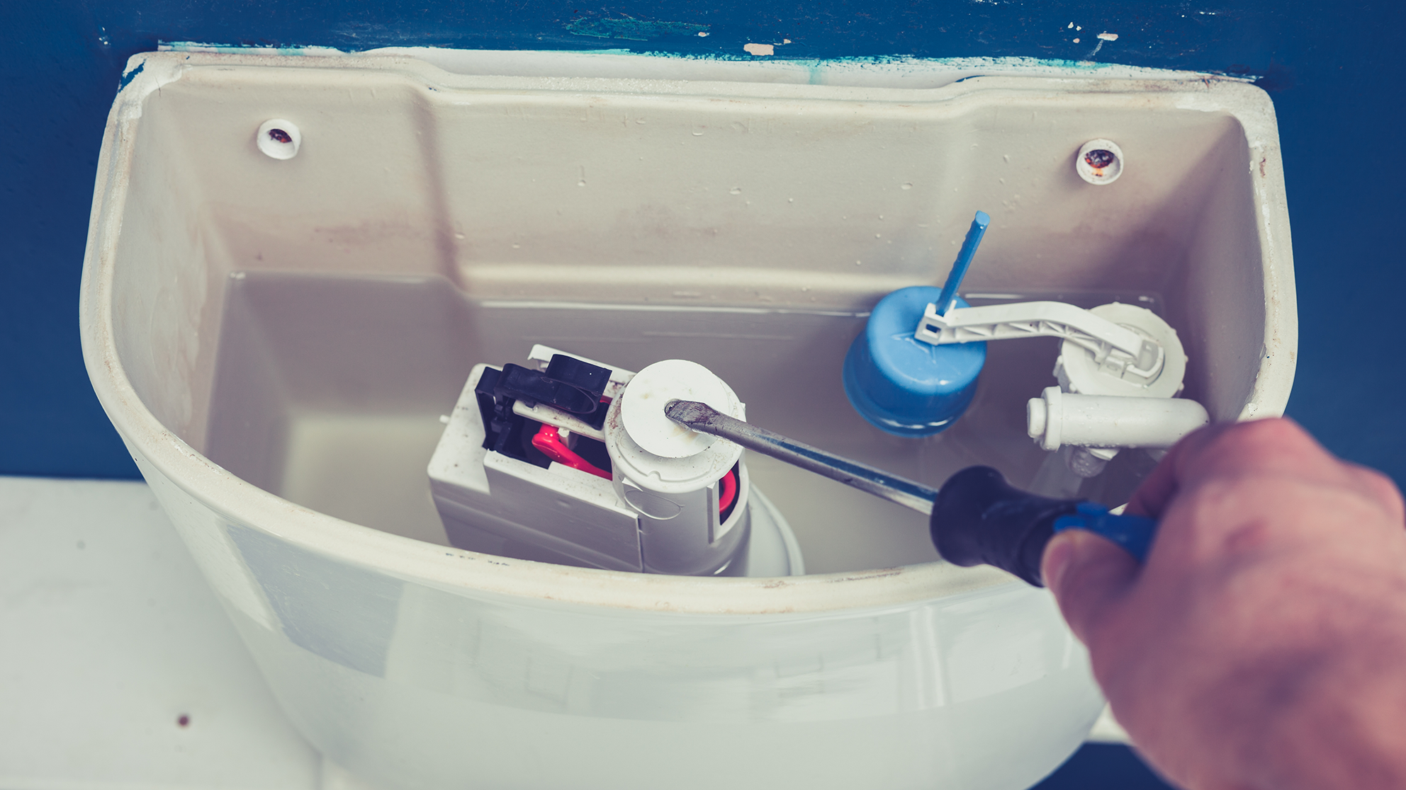 How to Fix a Leaky Toilet